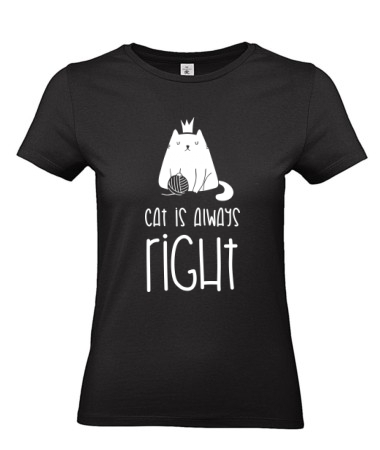 Cat is right