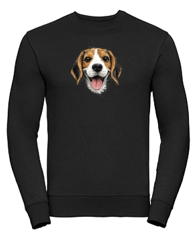 Beagle