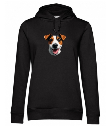 Jack Russell terrier